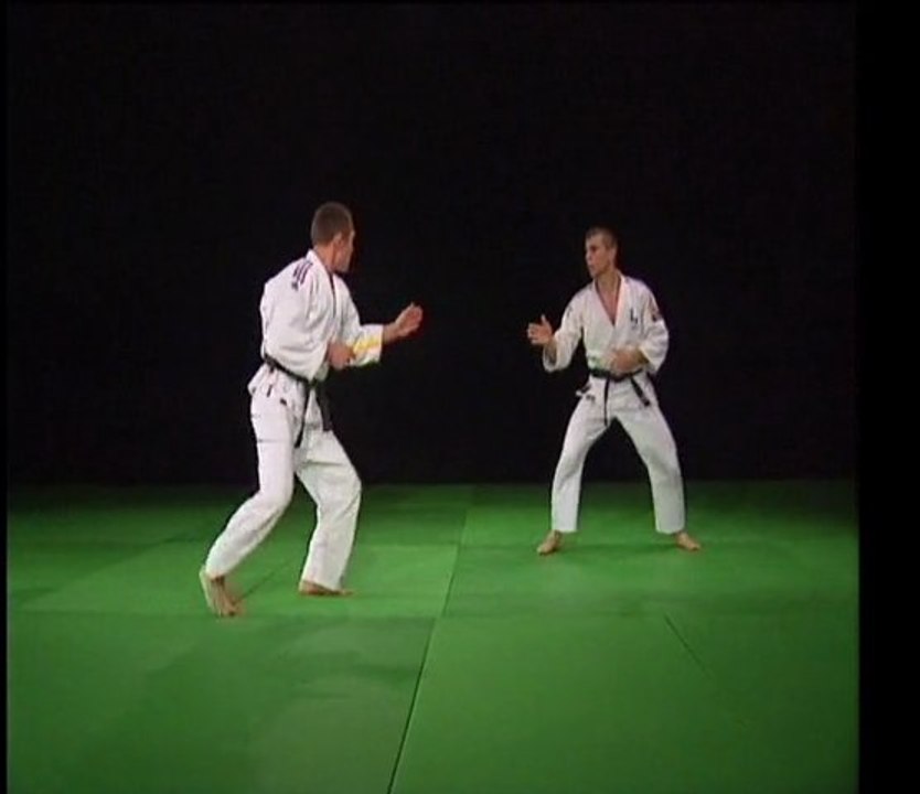 20 techniques imposées Ju-jitsu