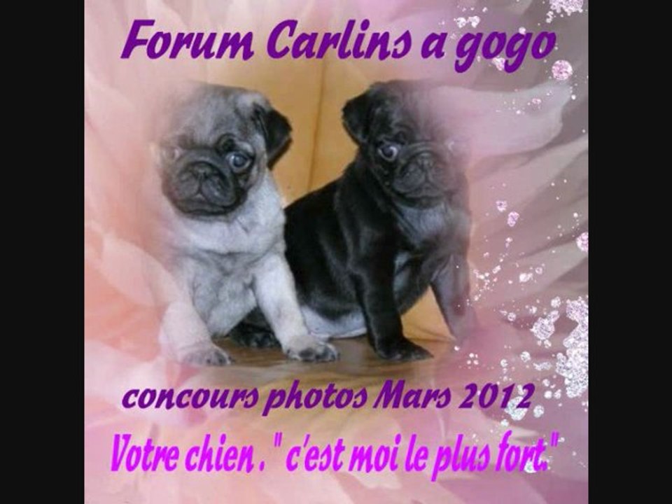 concours photos Mars 2012