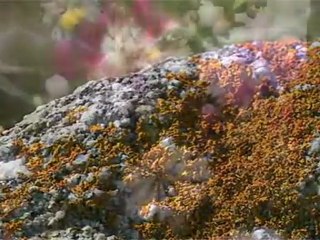 Telescopio Spaziale Hubble 3 - 8