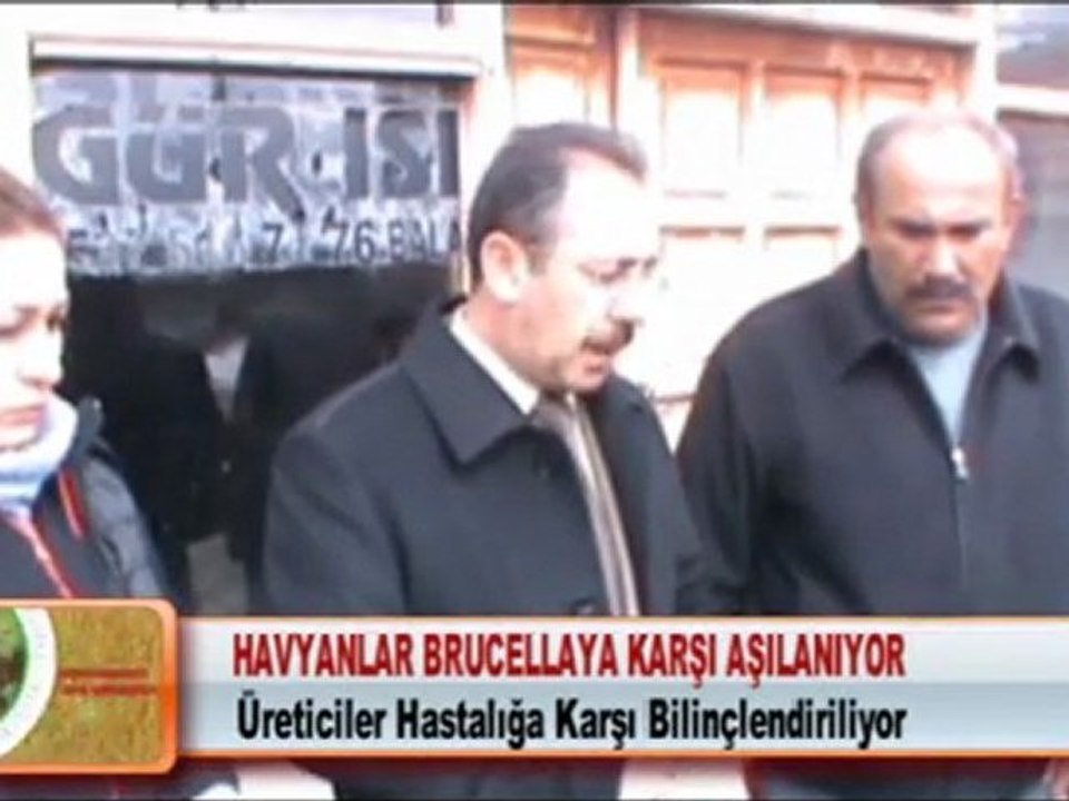 HAVYANLAR BRUCELLAYA KARŞI AŞILANIYOR 15.3.2012