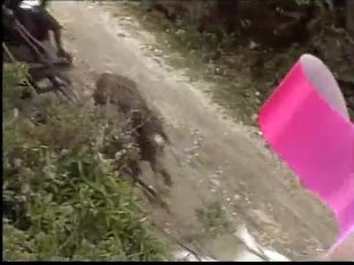 que rei sou eu chamada 1