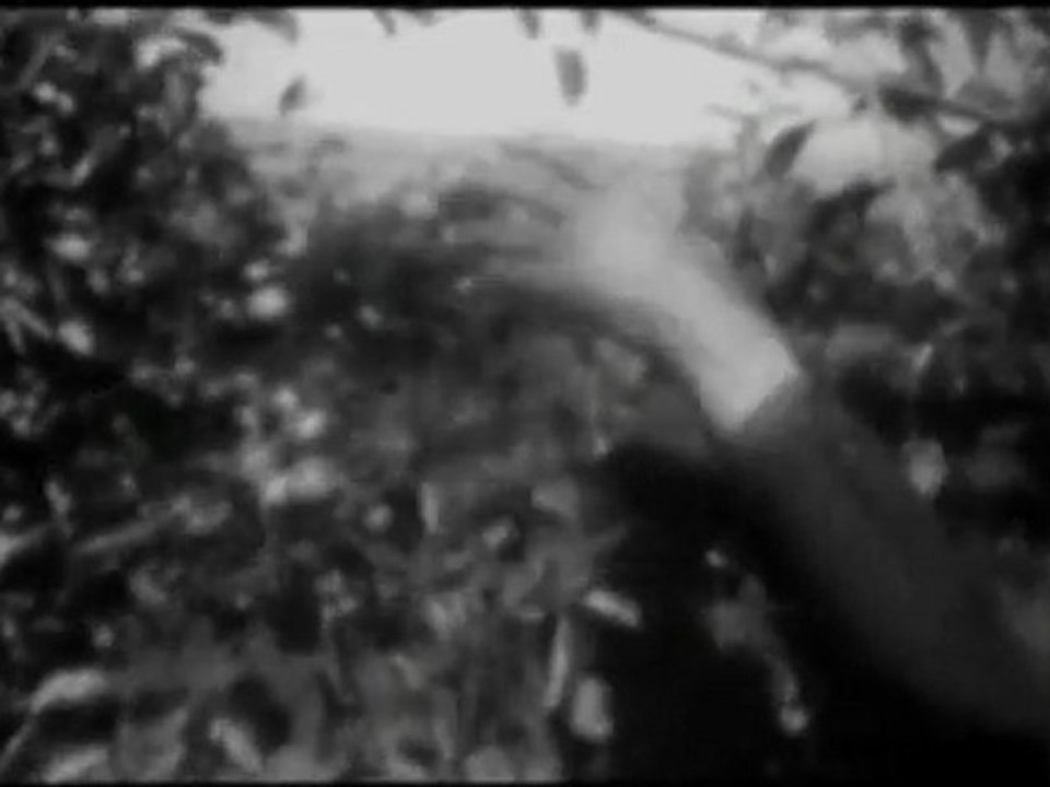 Aşık Veysel - Anam