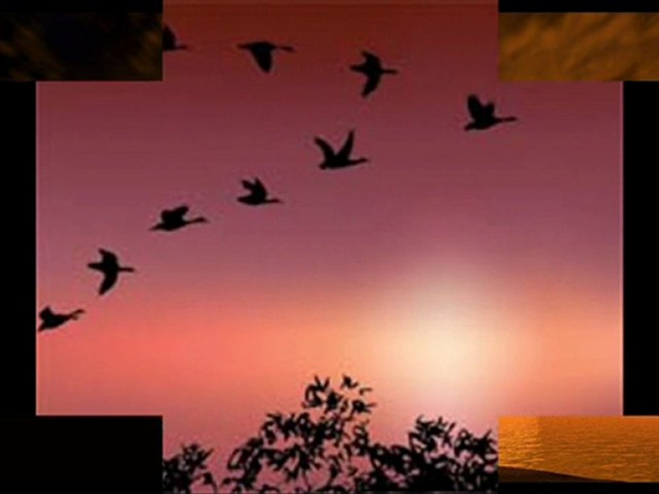 DAYANAMIYORUM-MUSTAFA YILDIZDOĞAN