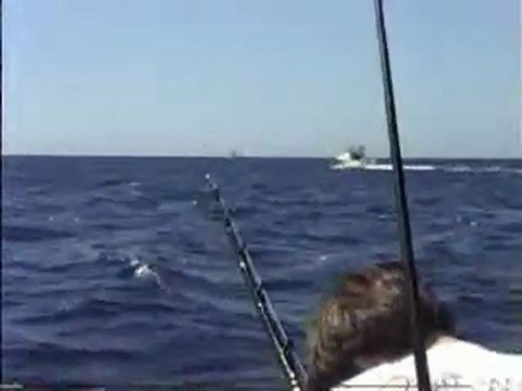 Hawaii Fishing Videos-Jeff Fay-Humdinger-Kona
