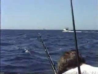Hawaii Fishing Videos-Jeff Fay-Humdinger-Kona