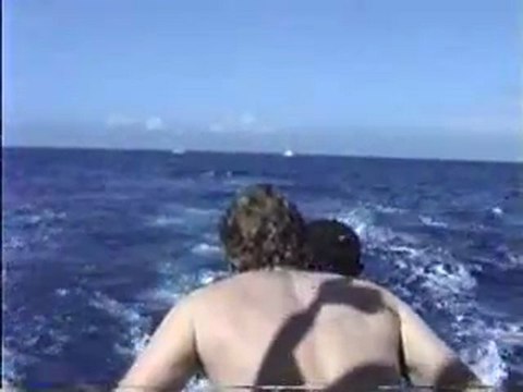 Kona Hawaii Fishing Videos-Humdinger-Jeff Fay