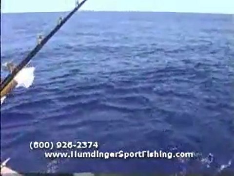Kona Hawaii Fishing Videos on the Humdinger