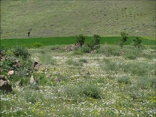 İsmail Özden & Kıvırcık Ali - Derdo
