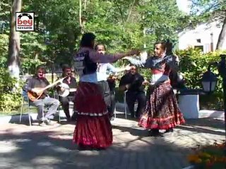 Şevket Doğan - Zülfüyem