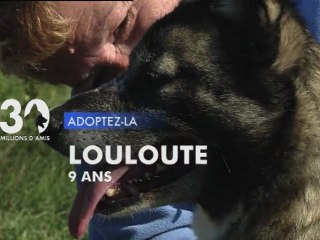Adoptez  Louloute