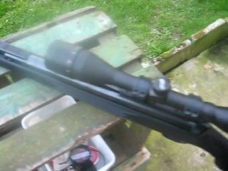 Carabine diana 4.5 panther 31