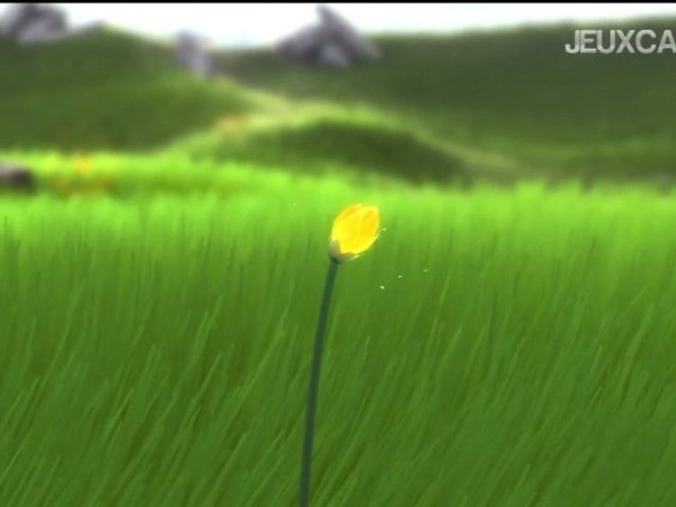 Video découverte - Flower HD