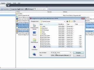 Adobe Fireworks CS5 : Bibliothèques d'URL