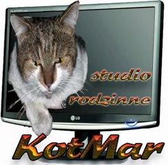 kot-czołówka-element