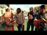 THE BEARDS - THE BEARD ACCESSORY STORE (BalconyTV)