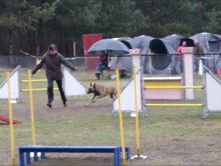 Concours St Avold 2012 - Les C classiques