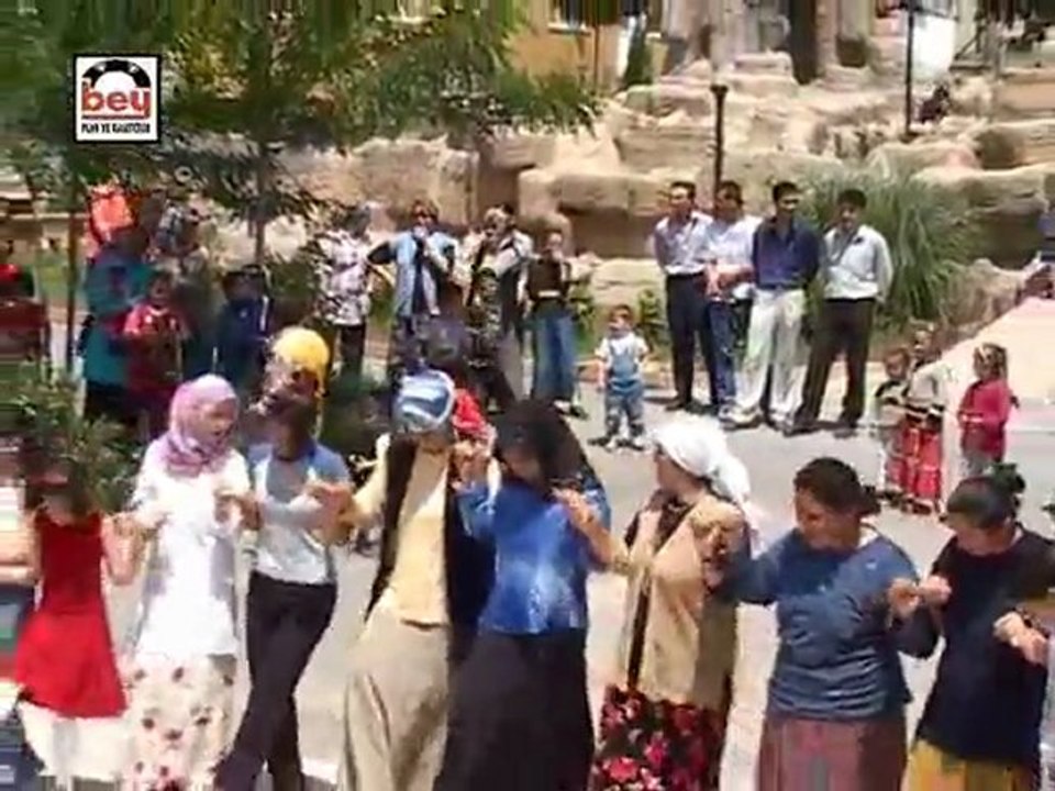 Akkuşlu Metin - Ordunun Dereleri