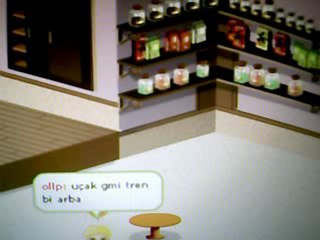 sanalikada yönetmenlik