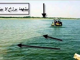 ‫صورة حقيقية لاعجاز علمي ادهشت العديد‬‎