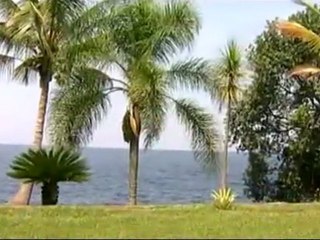 Bolinga ft Ferre Gola - Mademoiselle - YouTube