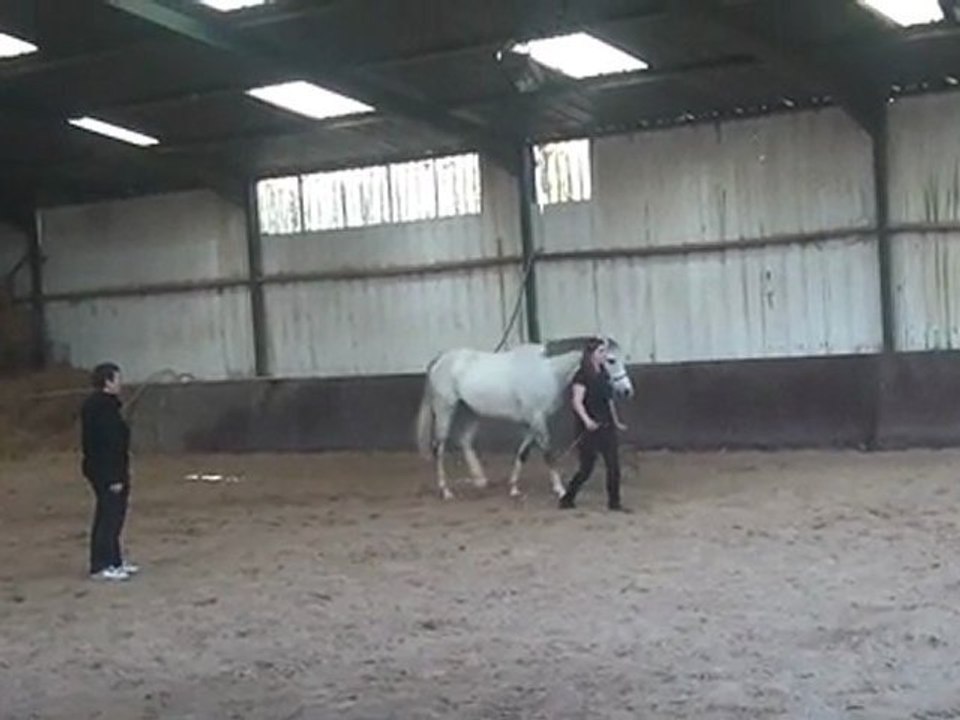 22.03.2012.zc.sing.s2