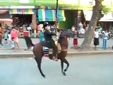 Horse Tries To Fly