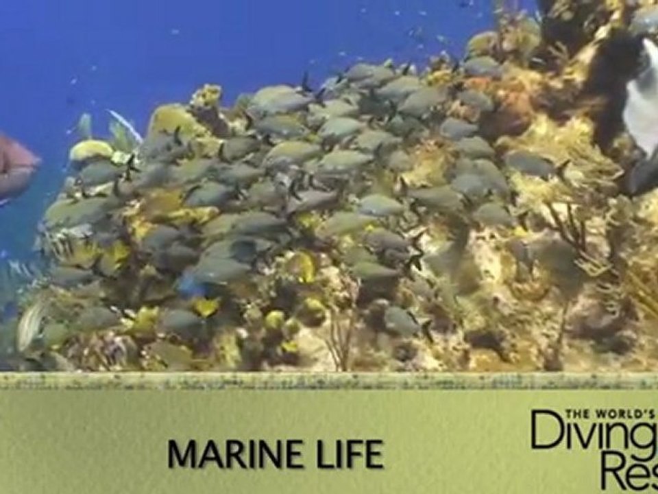 Grand Turk in Grand Style with Oasis Divers