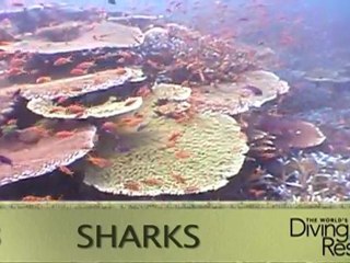 Fiji: Coral Capital of the World