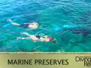 Experience the luxury and natural beauty of Anse Chastanet