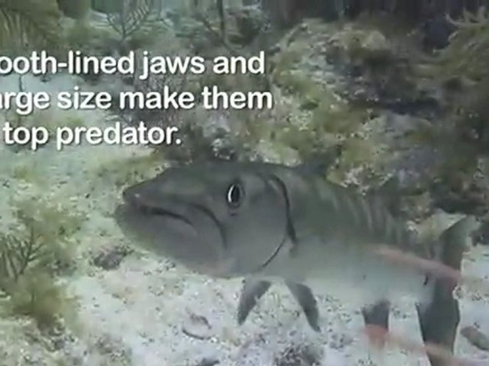 Critter Hunt: Dressed to Kill