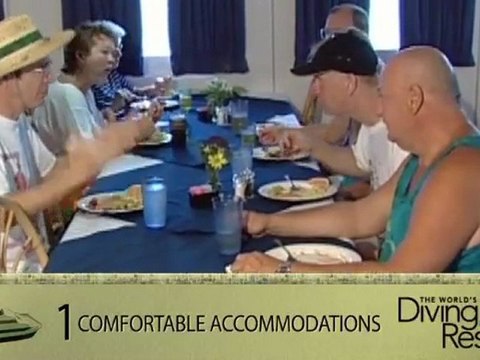 Aqua Cat just may be your ticket to paradise