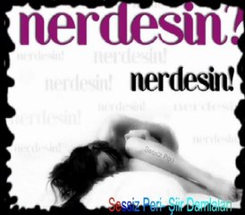 Nerdesin?  Bir Sessiz Peri Şiiridir