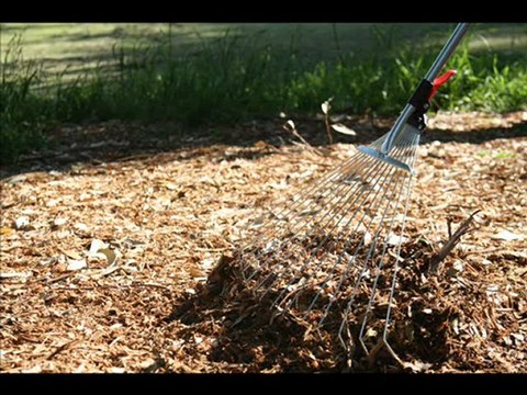 Garden Tools, Esengy Adjustable Rake great Garden Tools