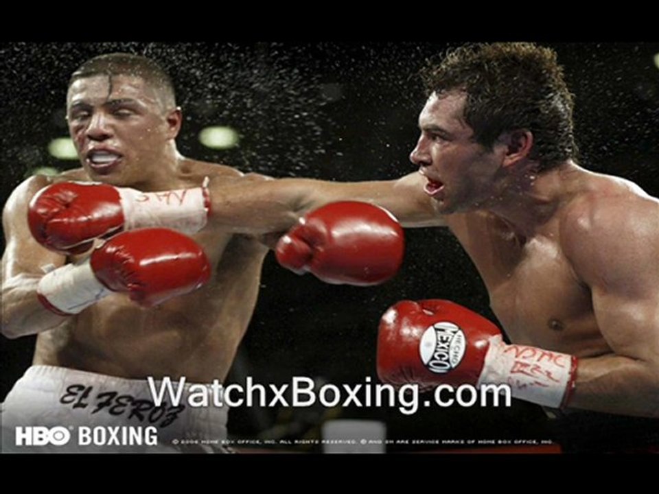 live Boxing Fight WBA World flyweight title