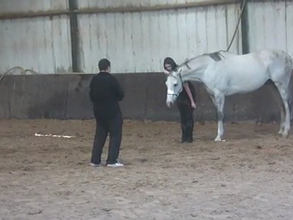 22.03.2012.zi.sing2