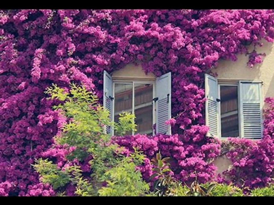 SAMİME SENAY BİR İLKBAHAR SABAHI