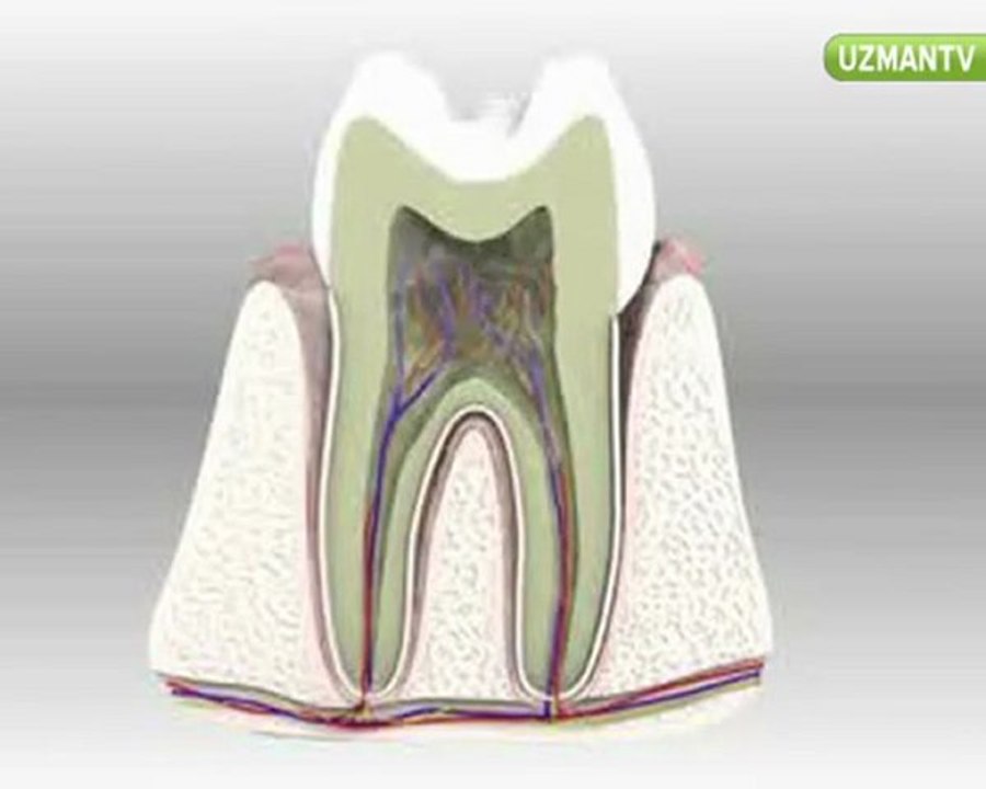 Dr. Nihat Tanfer - Diş dolgusu işlemi acı verir mi-