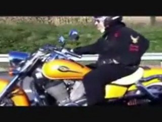 shadow 750 cath lem yes