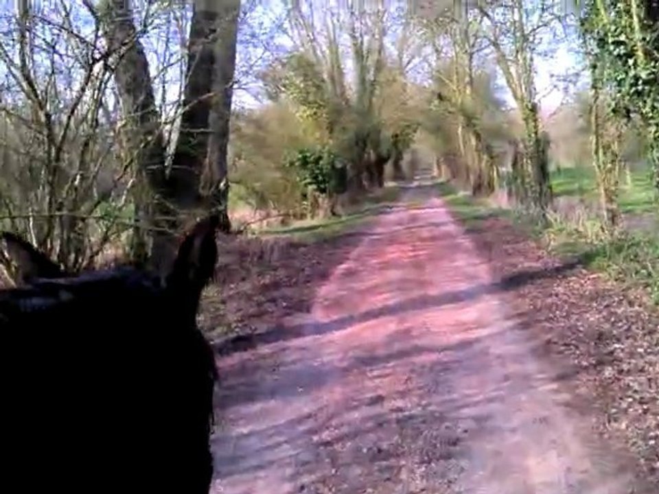 VID_20120323_155045