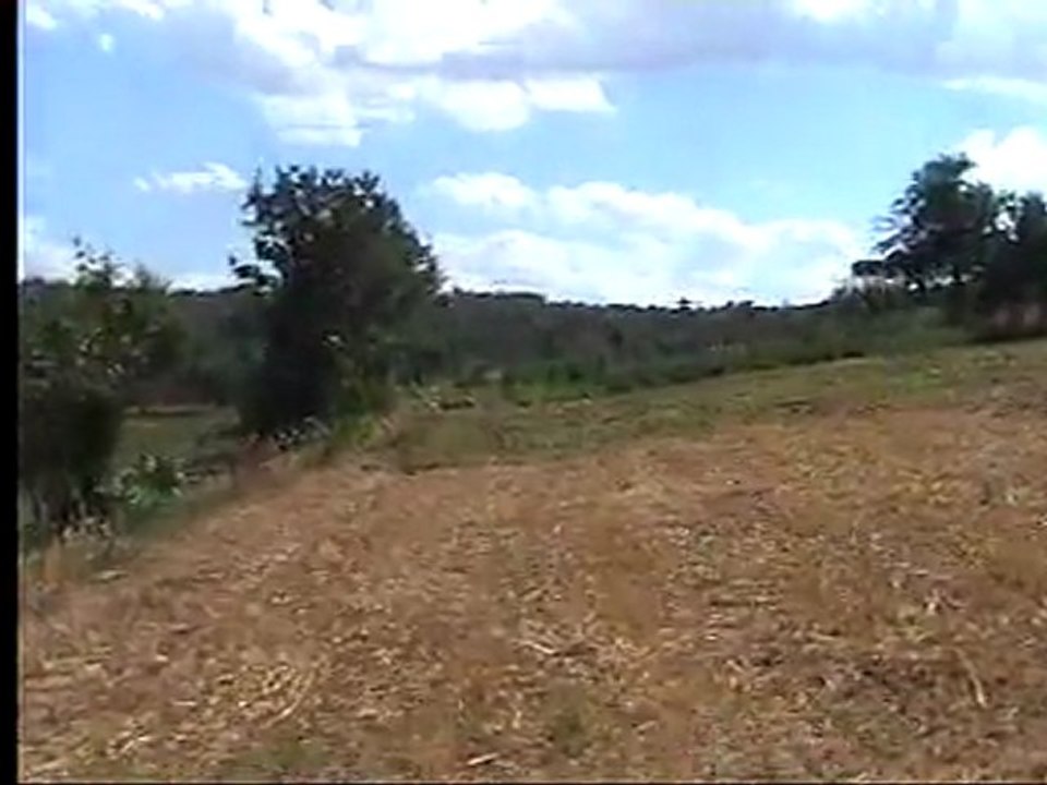 2008 YILI MEMLEKET (PEMBELİ KÖYÜ) KÖKSAL SARAÇ