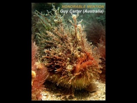 New & Hot – DEEP/OWU