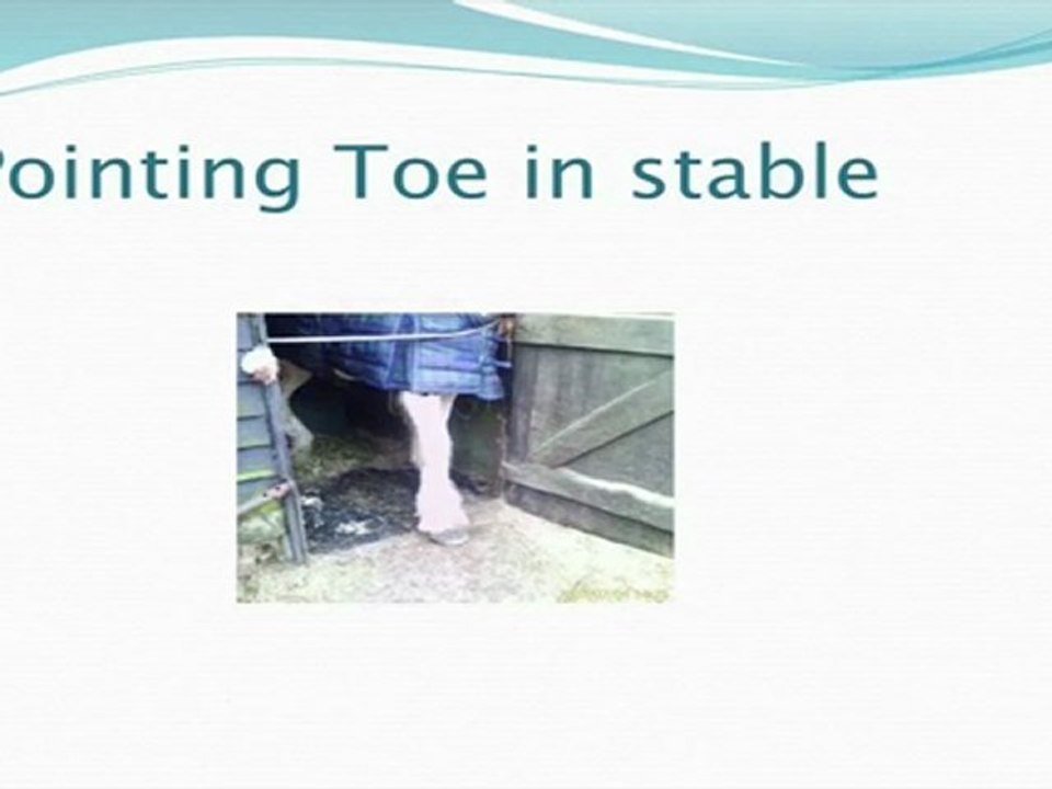 Horse Care Seminar series: Navicular Disease Part 2