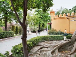 Holidays Apartments in Seville
