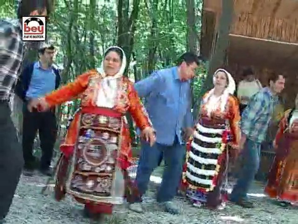 Arslan Yiğit - Alaçam