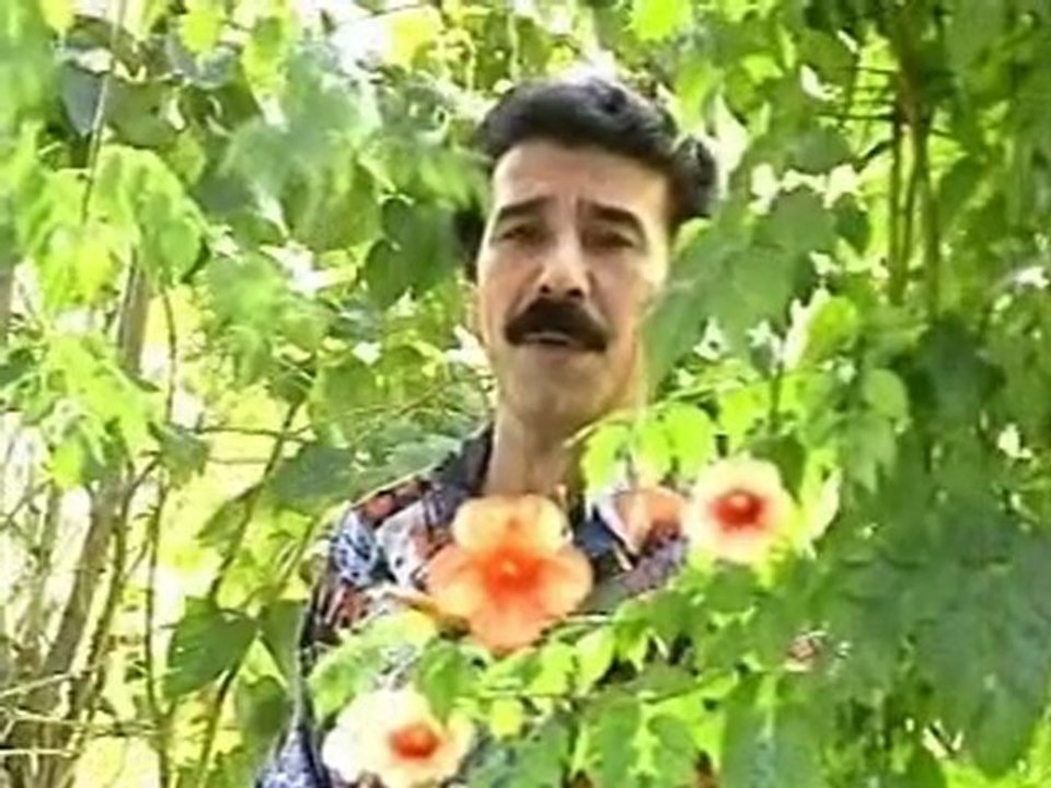 Mustafa Yavuz - Hamal Çocuk