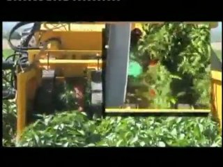 Biber Toplama Makinası