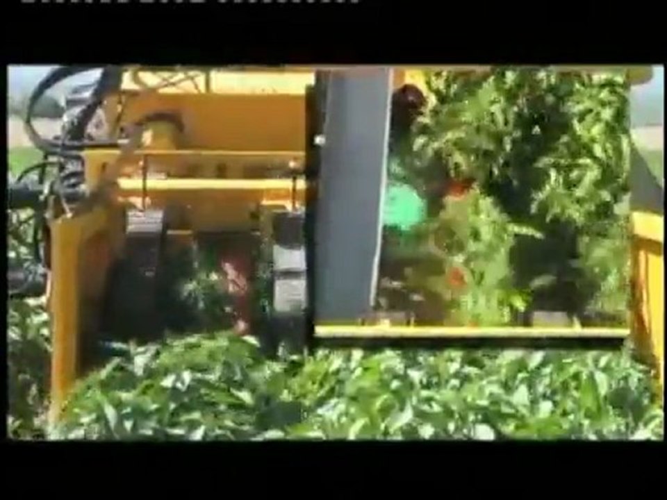 Biber Toplama Makinası