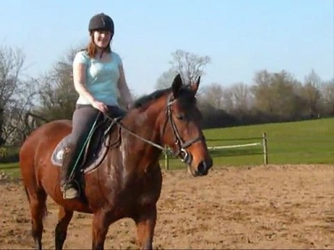 Séance d'obstacle avec Paola ( 8 mois sans sauter )