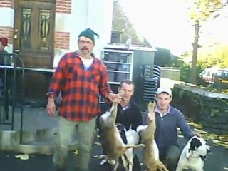 matinée de chasse aux lièvres