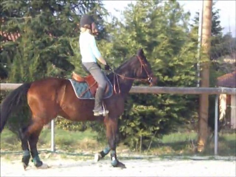 Veristroe 24 Mars 2012